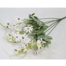 틸란데이지부쉬조화(화이트)