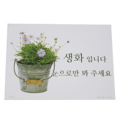 이지픽C생화입니다(12장)10.5cm*8cm