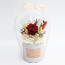 프리져브드완제품(빨강)볼16cm