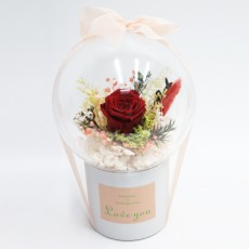 프리져브드완제품(빨강)볼16cm