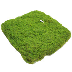 이끼매트조화(50cm*50cm)
