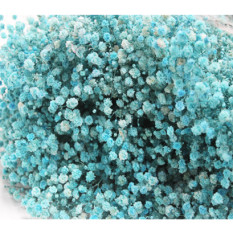 프리져브드안개(하늘)약380g