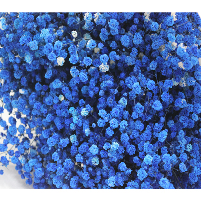 프리져브드안개(파랑)약380g