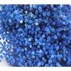 프리져브드안개(파랑)약380g