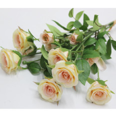 라비니로즈번들 조화(샴페인)