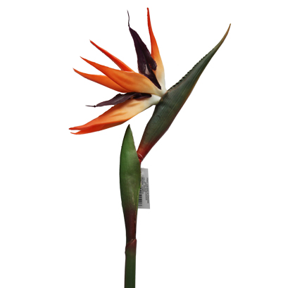 극락조가지 조화