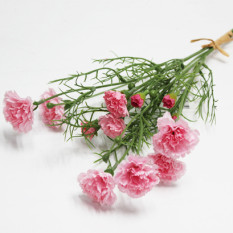 카네이션조화번들(핑크)3줄기