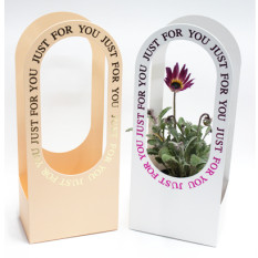 원형캐리어소(10개)