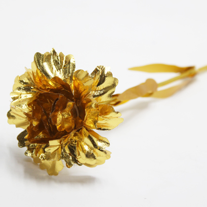 골드카네이션(10개)