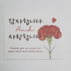 카드(감사/사랑카네이션 30장)레드