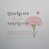 카드(감사/사랑카네이션 30장)핑크
